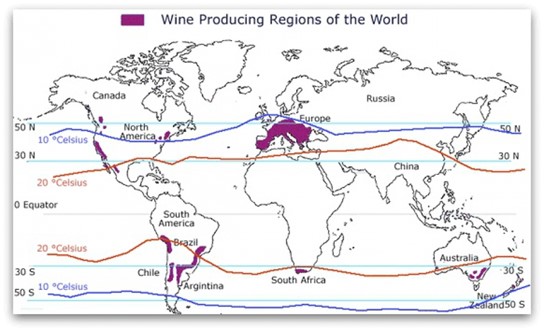 world wine producing regions