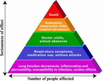 Pyramid of effects caused by ground level ozone